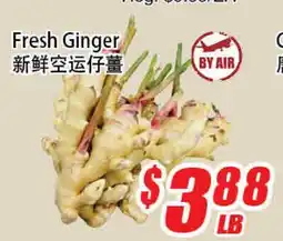 WinCo Food Mart Fresh Ginger offer