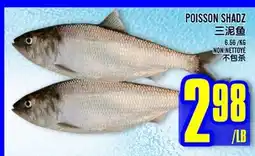 Marché Lian Tai POISSON SHADZ offer