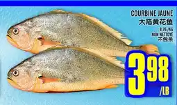 Marché Lian Tai COURBINE JAUNE offer