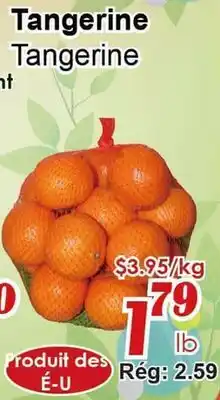 Marche C&T Tangerine offer