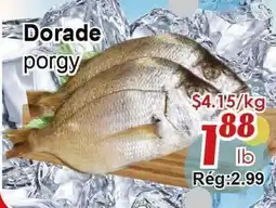 Marche C&T Dorade offer