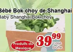 Marche C&T Bébé Bok choy de Shanghai offer