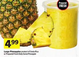 Foodland Large Pineapples offer