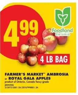 No Frills FARMER'S MARKET AMBROSIA or ROYAL GALA APPLES offer