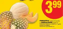 No Frills PINEAPPLE OR CANTALOUPE offer