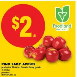 No Frills PINK LADY APPLES offer