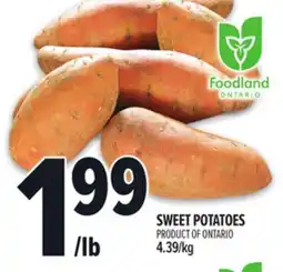 Metro SWEET POTATOES offer