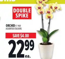 Metro ORCHID offer