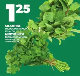 Loblaws CILANTRO, MINT BUNCH offer