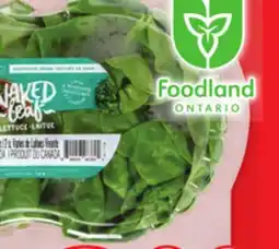 Metro ASSORTED COLOUR SWEET PEPPERS offer