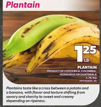 Loblaws PLANTAIN offer