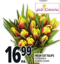 Metro FRESH CUT TULIPS offer