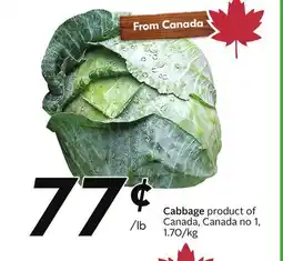 Sobeys Cabbage offer