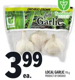 Metro LOCAL GARLIC offer