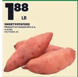 Loblaws SWEET POTATOES offer