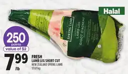 Metro NEW ZEALAND SPRING LAMB FRESH LAMB LEG SHORT CUT offer