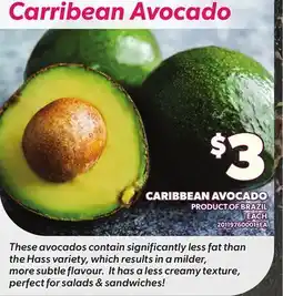 Loblaws CARIBBEAN AVOCADO, EACH offer