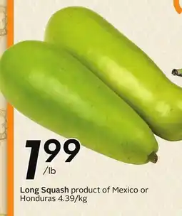 Sobeys Long Squash offer