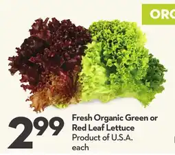 Longo's Fresh Organic Green or Red Leaf Lettuce offer