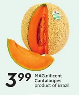 Sobeys MAG.nificent Cantaloupes offer