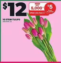 Loblaws 10 STEM TULIPS offer