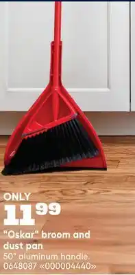 RONA VILEDA Oskar broom and dust pan offer