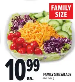 Metro FAMILY SIZE SALADS offer