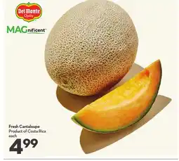 Longo's Fresh Cantaloupe offer