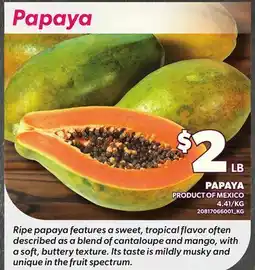 Loblaws PAPAYA offer