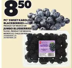Loblaws PC SWEET KAROLINA BLACKBERRIES, PINT OR JUMBO BLUEBERRIES, 9.8 OZ offer