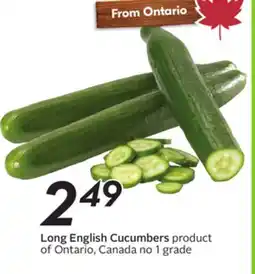 Sobeys Long English Cucumbers offer