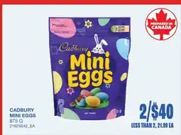 Wholesale Club CADBURY MINI EGGS offer