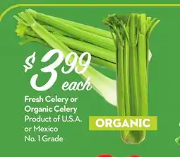 Longo's Fresh Celery or Organic Celery offer