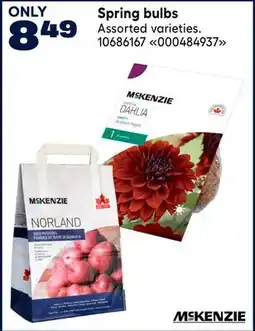 RONA MCKENZIE Spring bulbs offer