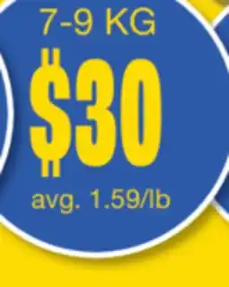 Wholesale Club TURKEY offer