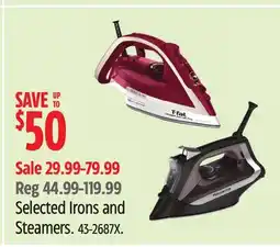 Canadian Tire Selected Irons and Steamers offer