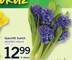 Fortinos HYACINTH BUNCH, 5 STEMS offer