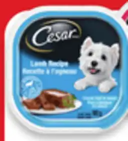 Walmart Cesar wet dog food offer