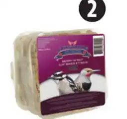 Canadian Tire Armstrong Berry & Nut Suet, 3-Pack offer