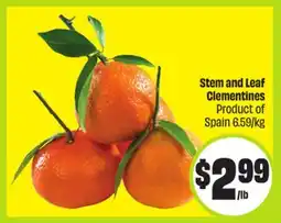 FreshCo Stem and Leaf Clementines Product of Spain 6.59/kg offer
