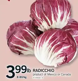 Fortinos RADICCHIO offer
