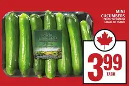 Food Basics MINI CUCUMBERS offer
