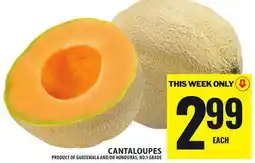 Food Basics CANTALOUPES offer