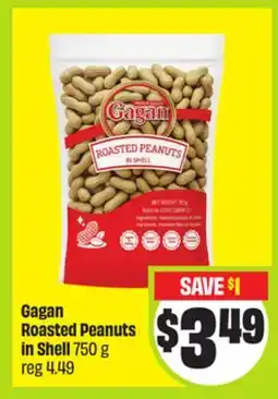 FreshCo Gagan Roasted Peanuts In Shell 750 g - Ramadan offer