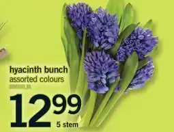 Fortinos HYACINTH BUNCH, 5 STEM offer