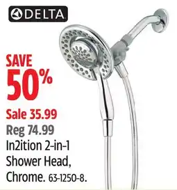Canadian Tire DELTA In2ition 2-in-1 Shower Head, Chrome offer