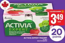 Food Basics ACTIVIA EXPERT YOGURT offer
