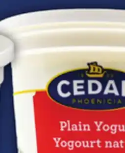 Food Basics PHOENICIA OR CEDAR YOGURT OR NORDEX KESHTA CREAM offer