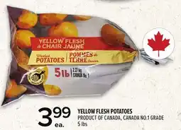 Metro YELLOW FLESH POTATOES offer