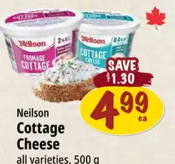 Farm Boy Neilson Cottage Cheese offer